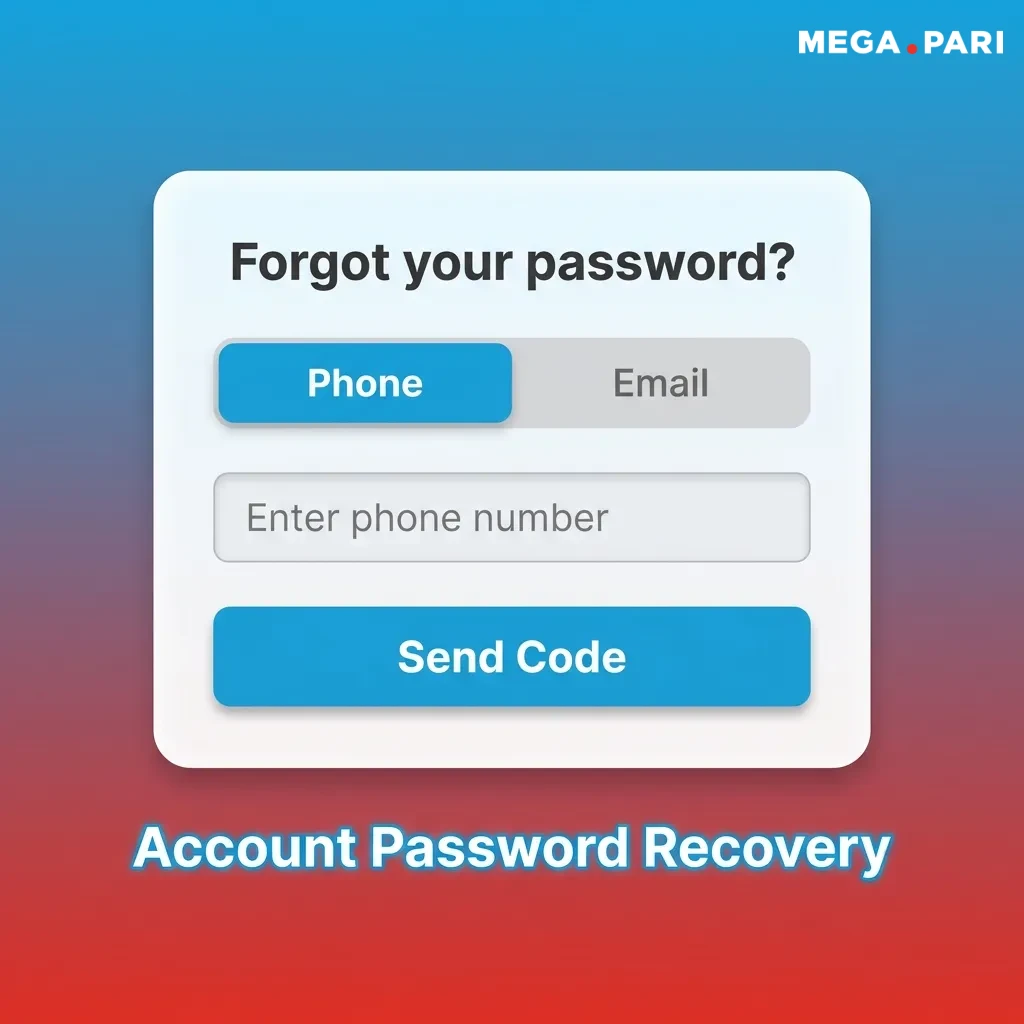 Password recovery screen showing email verification and reset instructions for account access